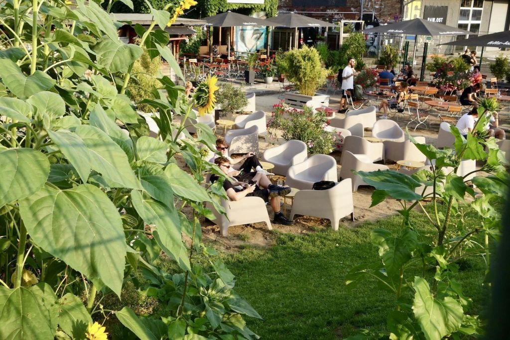 비어 가든의 여름