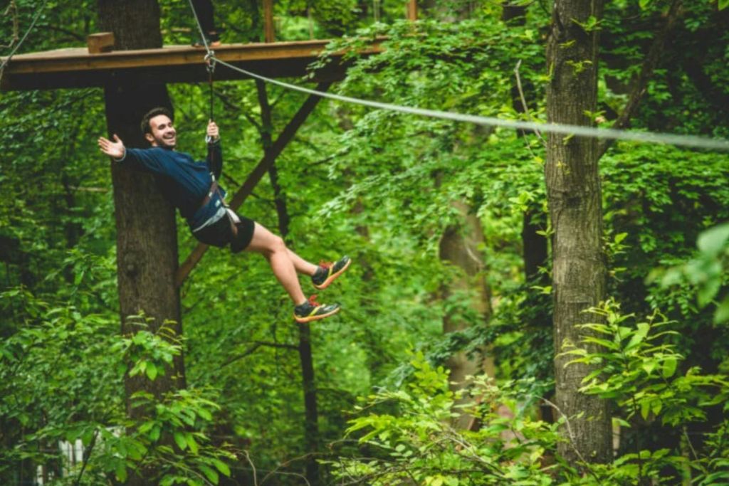 울창한 푸른 숲 사이로 한쪽 팔을 들어 올린 채 웃고 있는 남성의 집라인. 높은 나무 플랫폼이 배경으로 보입니다.