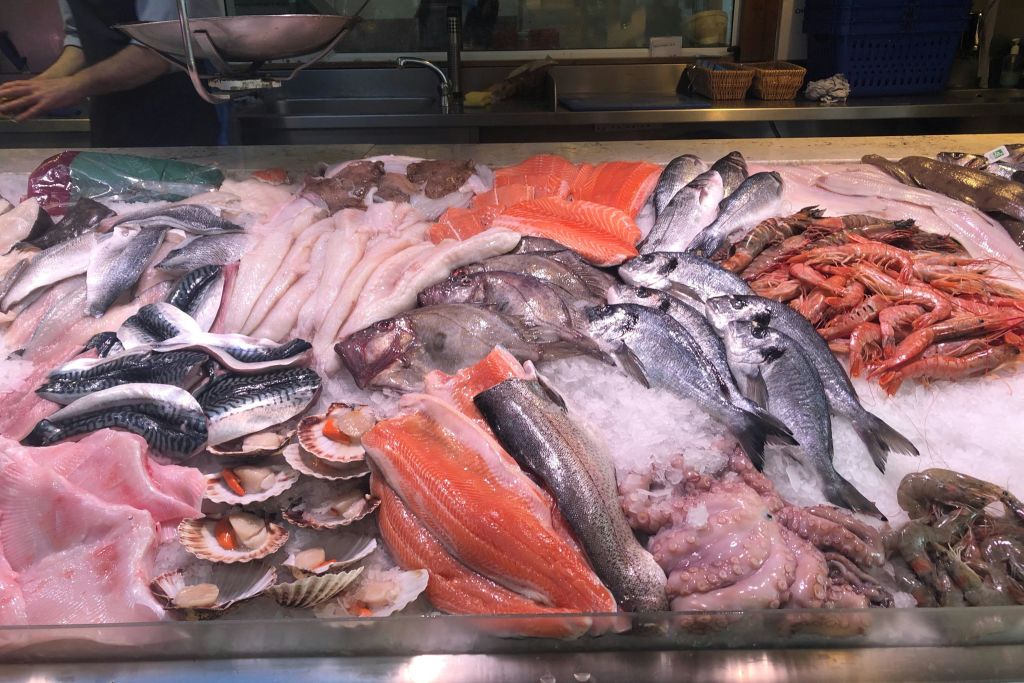 현지 수산 시장 방문하기
