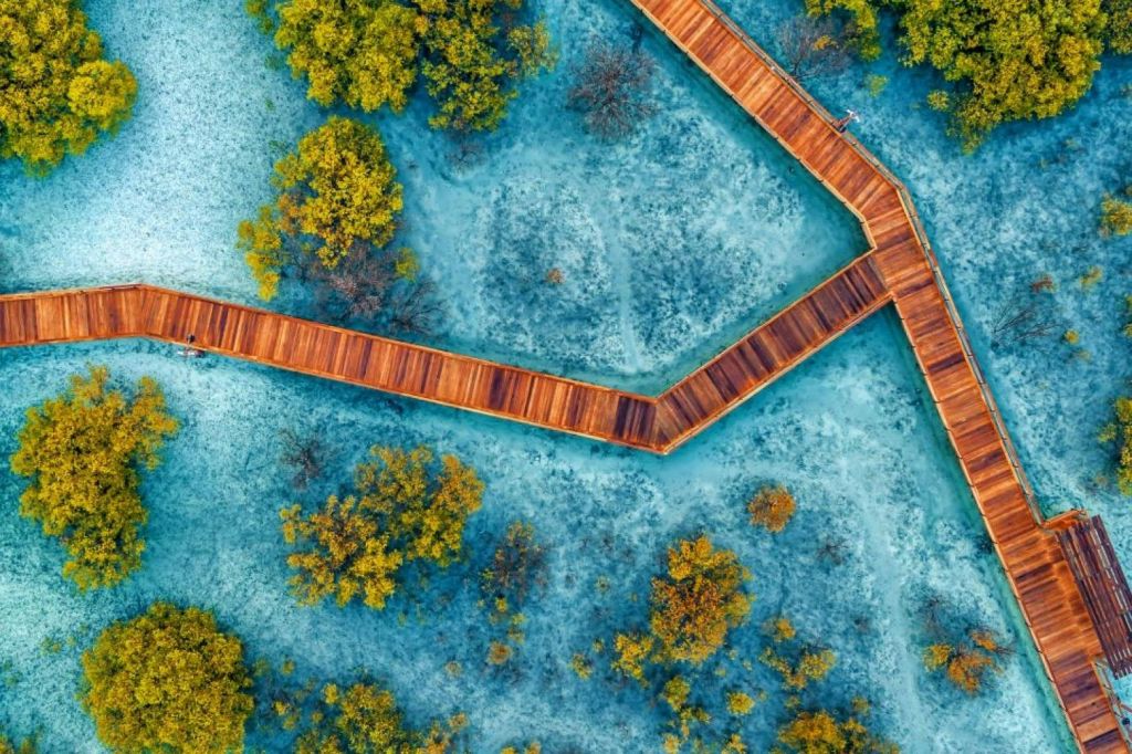 주베일 맹그로브 공원 - 보드워크 체험