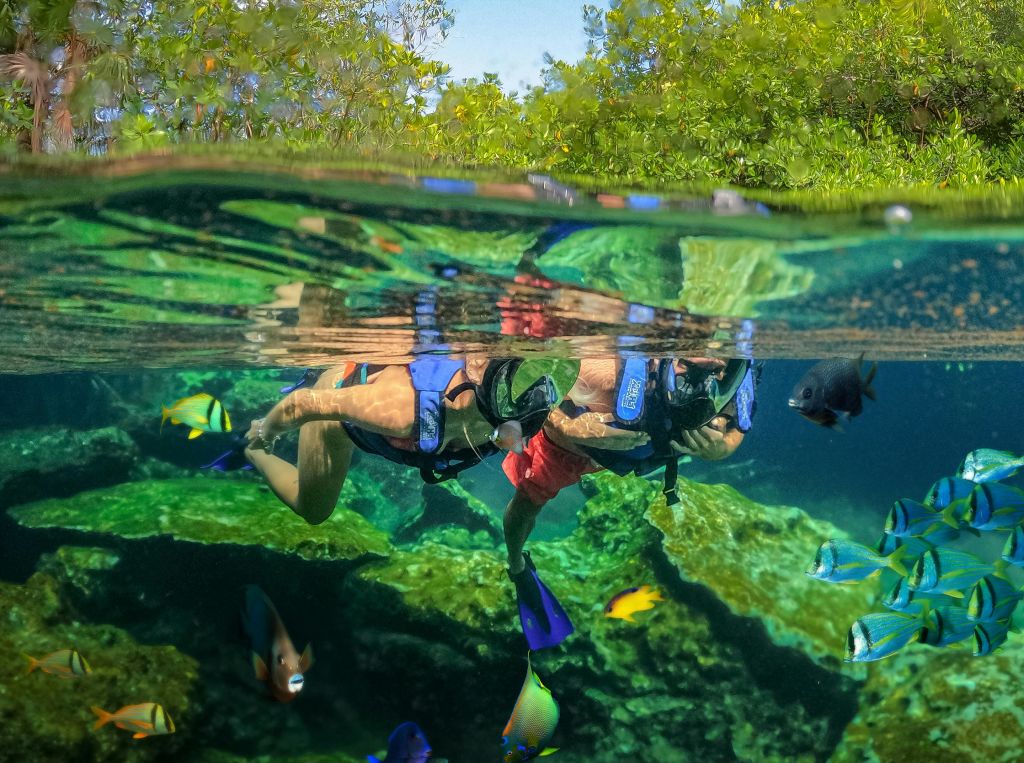 맑은 물 속에서 두 명의 스노클러가 바위와 수중 식물 사이에서 다채로운 물고기를 관찰하며, 수면 위에는 숲 배경이 있습니다.