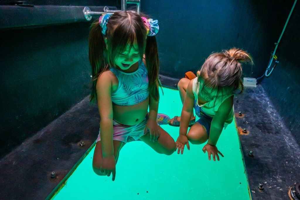 하와이 유리 바닥 보트 투어