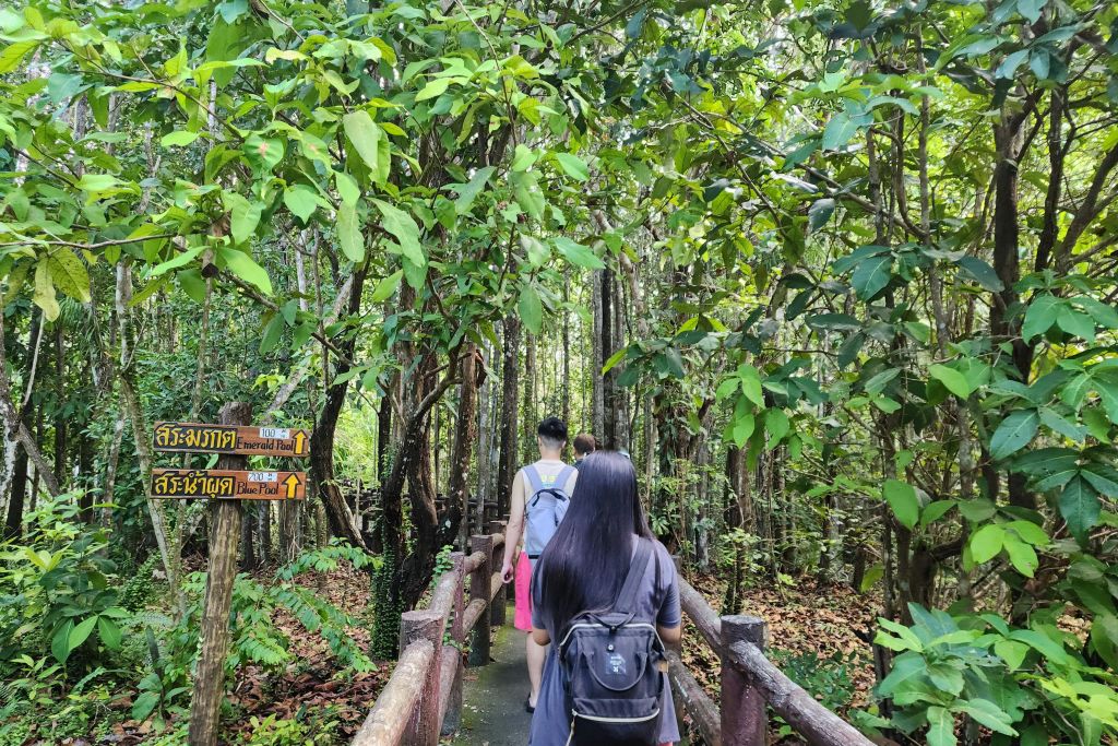 에메랄드 풀로 가는 산책로