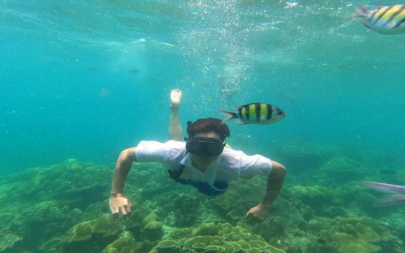 산호 근처에서 스노클링 마스크를 착용한 사람이 물속에서 수영하고 있으며, 근처에 다색 물고기가 있습니다.
