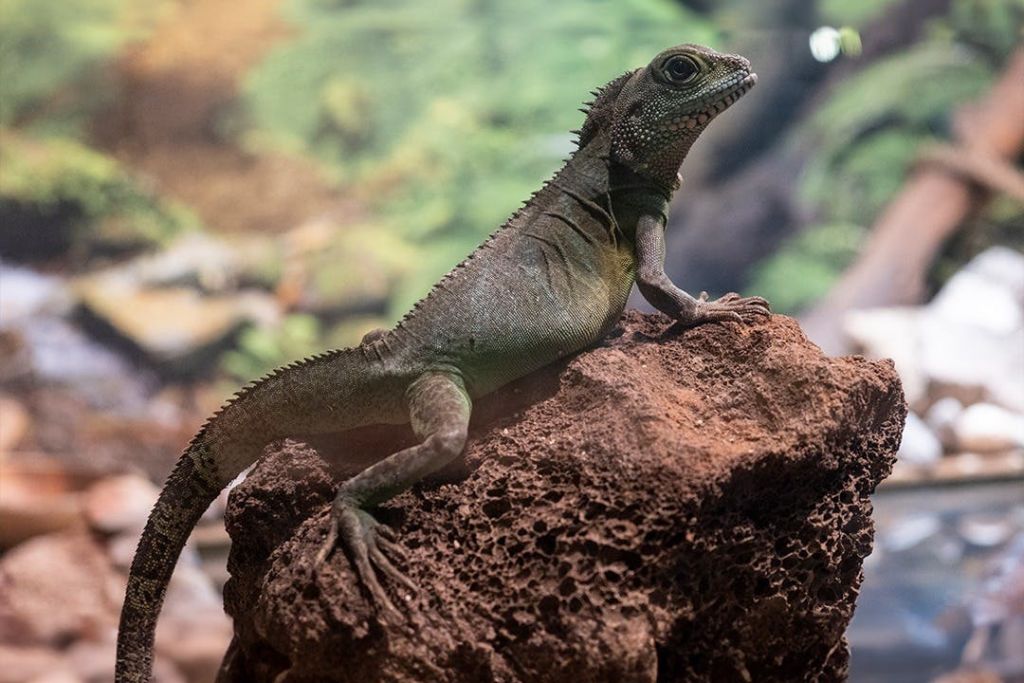 에마르 수족관 & 수중 동물원