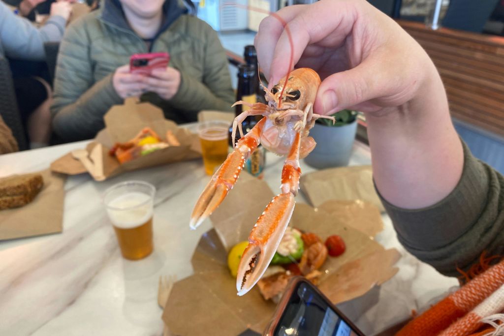 더블린 베이 새우