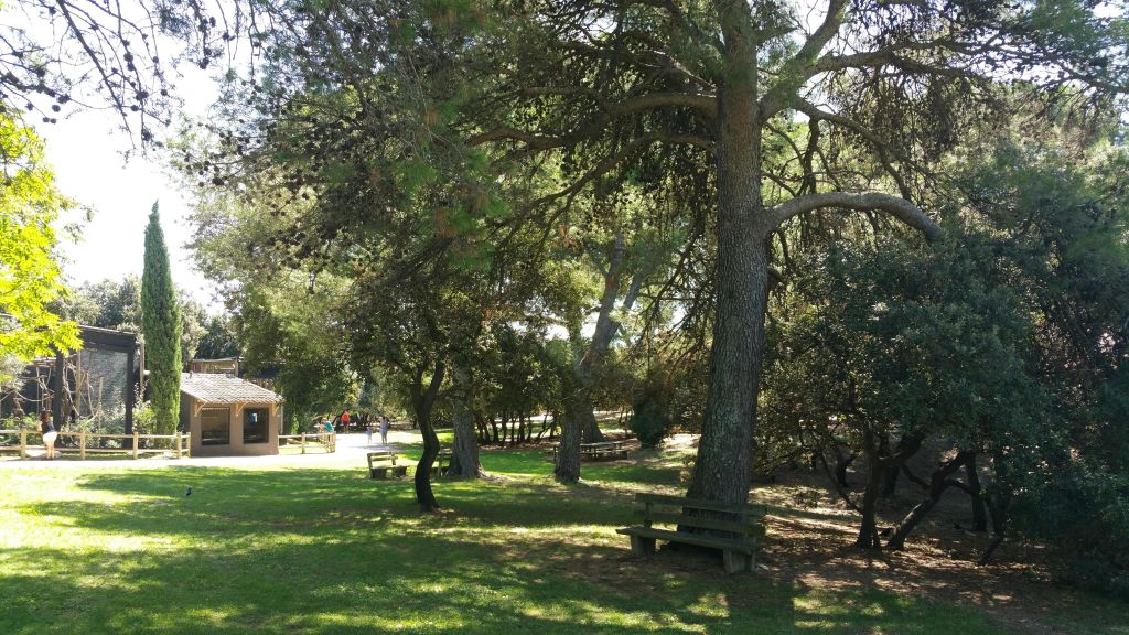 높은 나무가 있는 그늘진 공원, 나무 벤치, 잔디가 우거진 공간, 건물 근처의 배경에 사람들이 몇 명 보입니다.