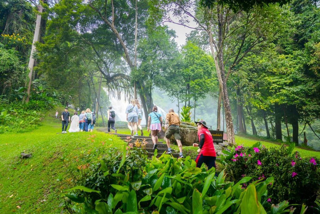나무와 식물이 우거진 푸른 숲길을 걸으며 폭포로 향하는 한 무리의 사람들.