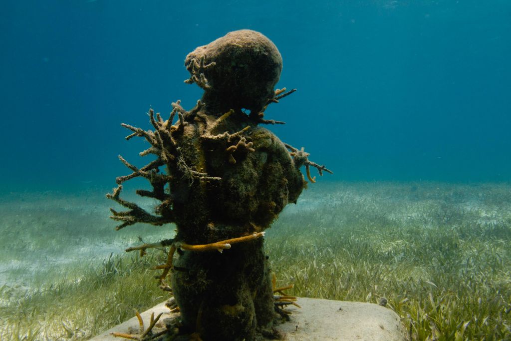 맑고 푸른 물을 배경으로 모래 해저에 서 있는 바다의 성장과 산호로 둘러싸인 수중 동상.
