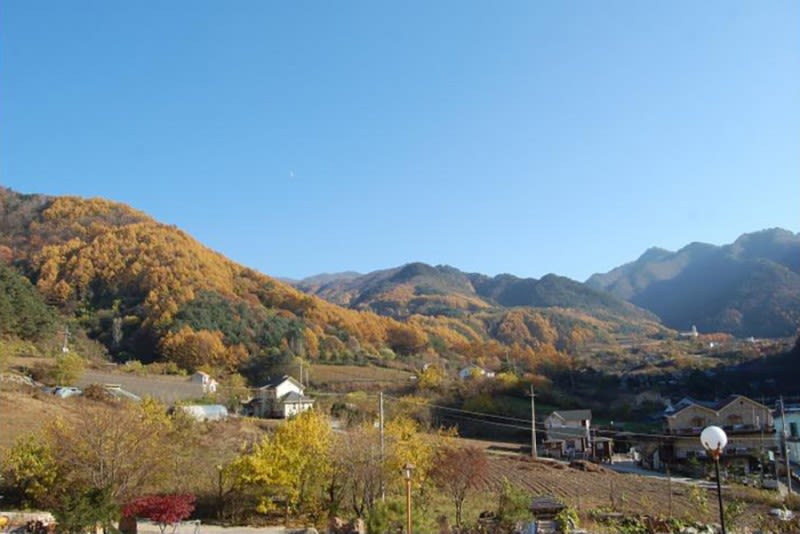 단양 큰양지펜션 이런 분들 추천해요 이미지