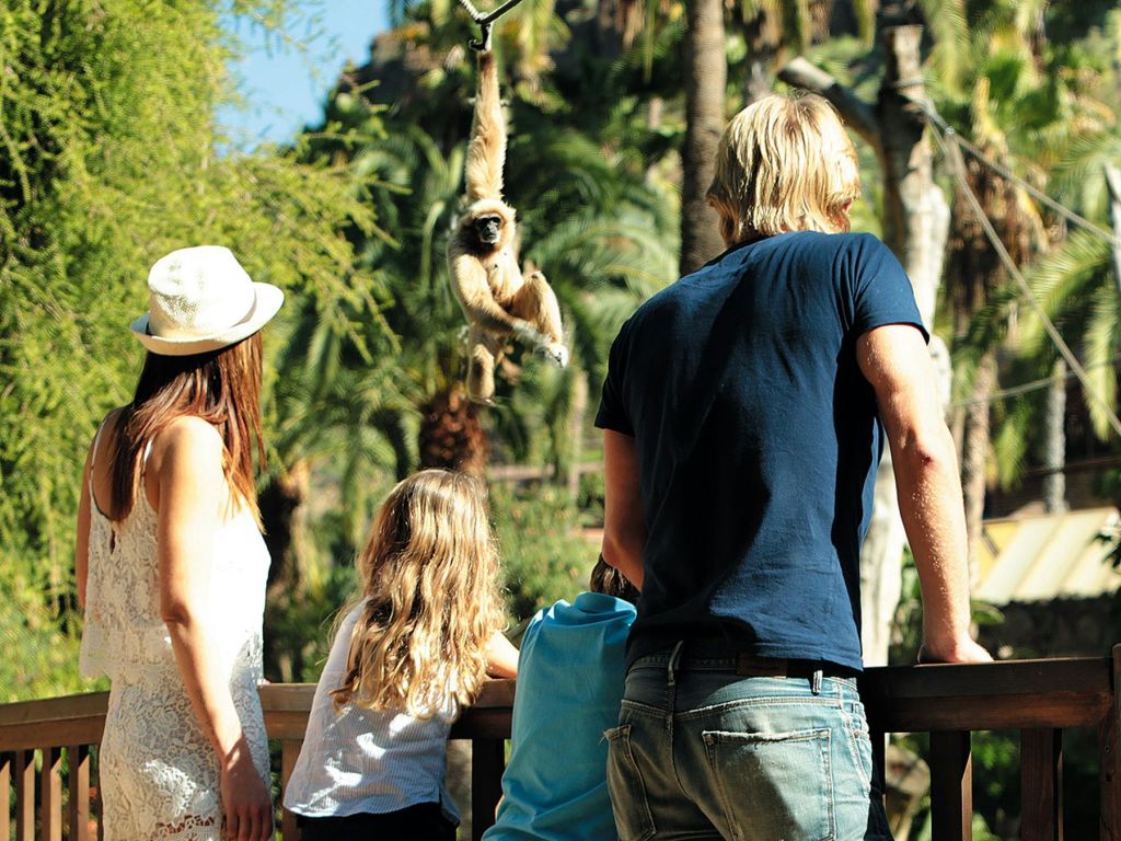 녹음이 우거진 야외 공간에서 나무 가지에 매달린 원숭이를 구경하는 세 사람.