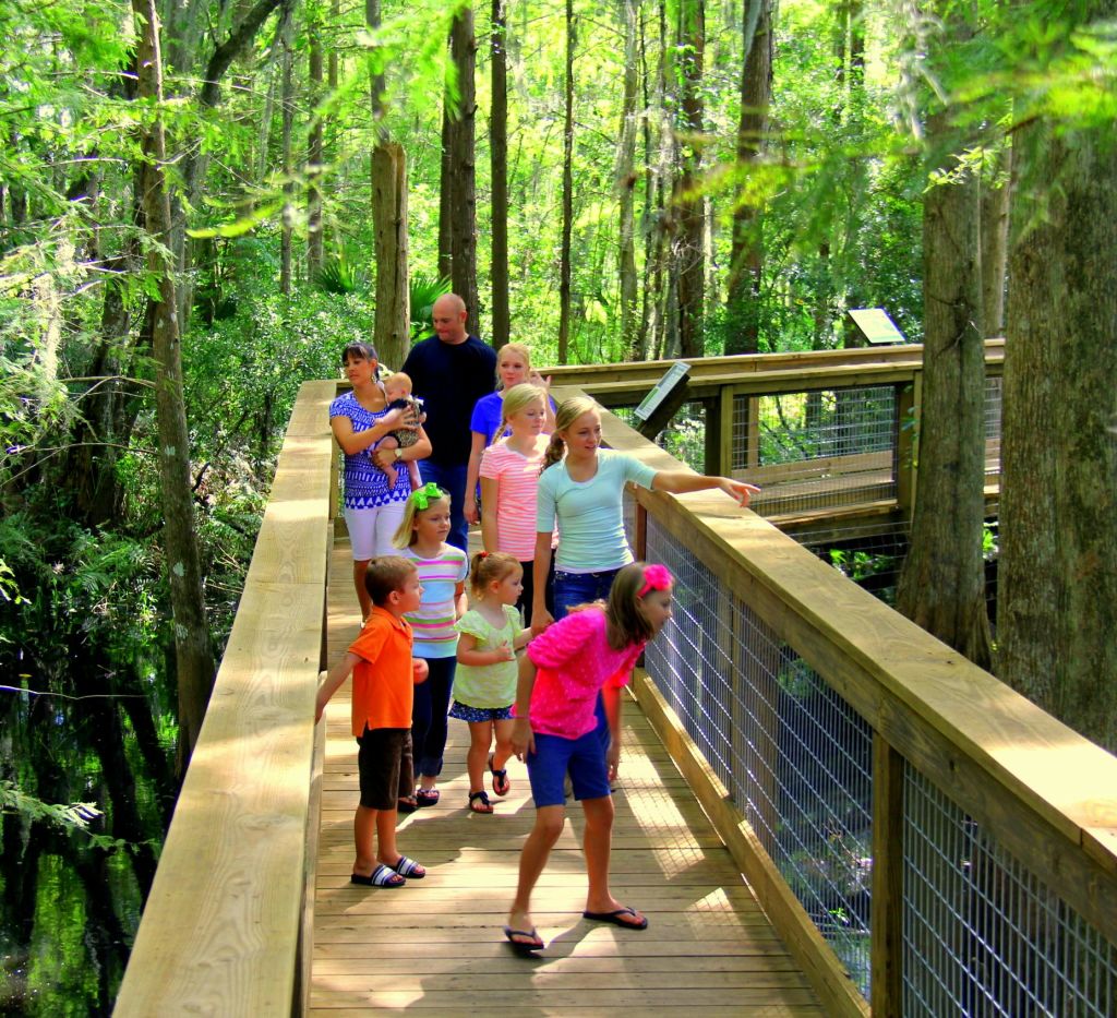 울창한 숲을 따라 나무 산책로를 걷고 있는 어린이와 성인 그룹.