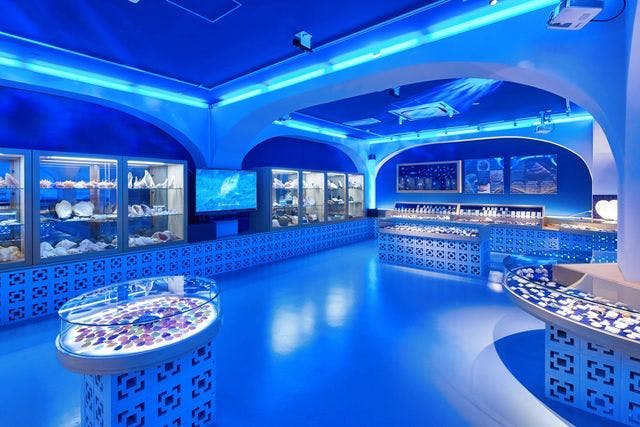 다양한 암석과 미네랄을 전시하는 조명 디스플레이 케이스가 있는 객실로, 파란색 조명과 곡선형 아치가 특징입니다.
