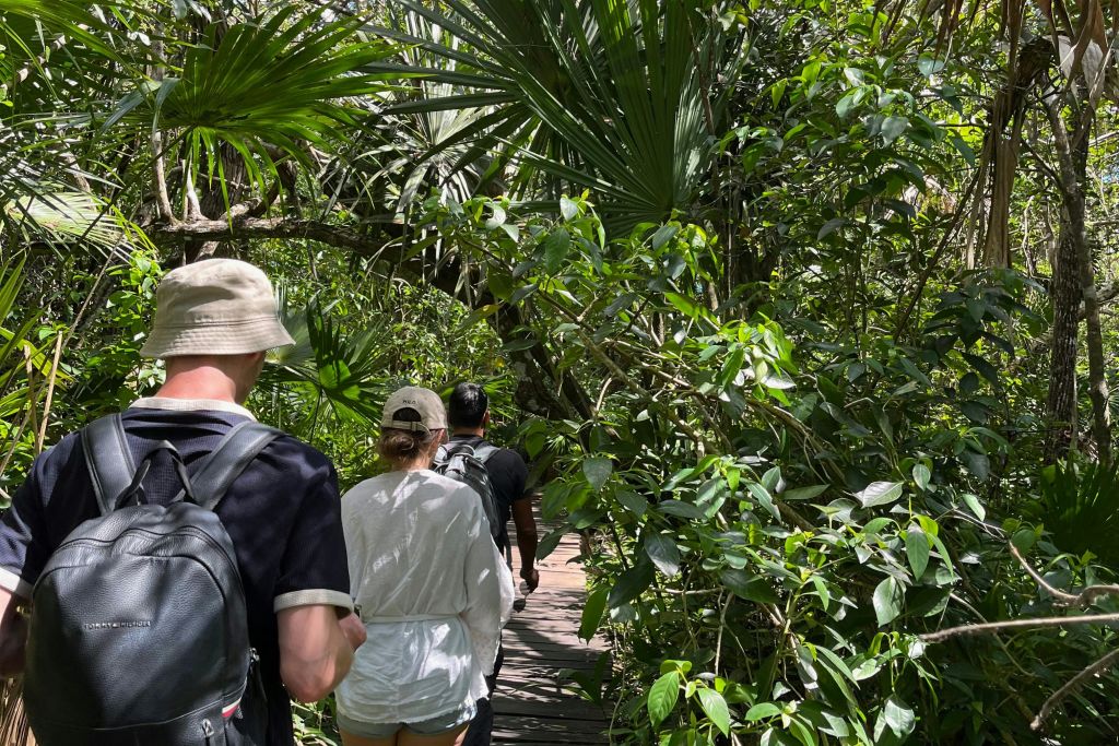 정글에서 단체로 즐기기