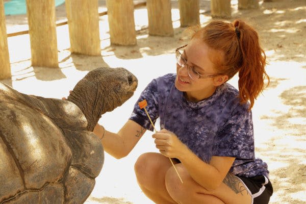 포니테일과 안경에 붉은 머리카락을 가진 사람이 막대기로 거북이에게 먹이를 주고 있습니다. 배경은 모래사장과 나무 기둥입니다.