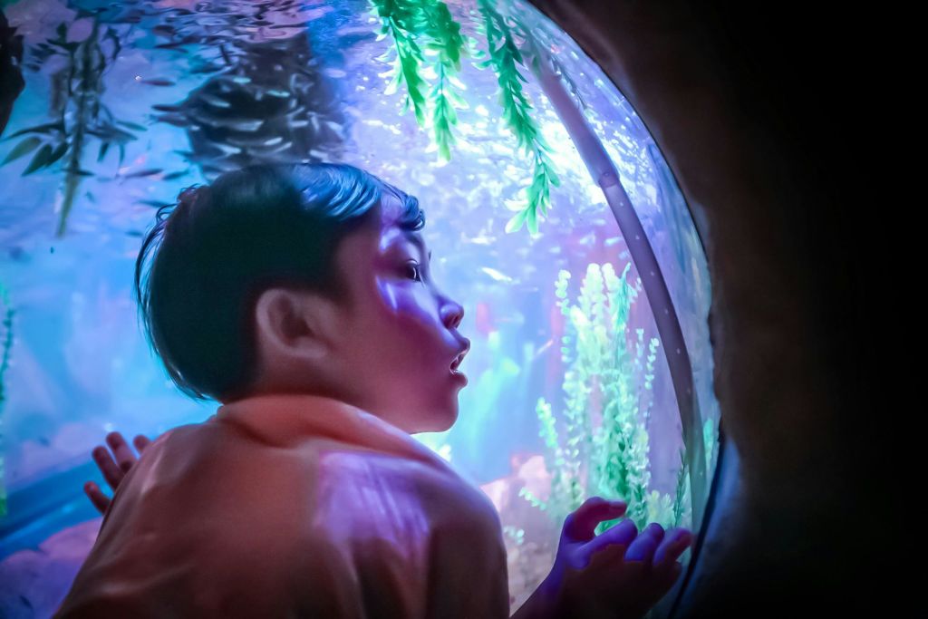SEA LIFE 말레이시아