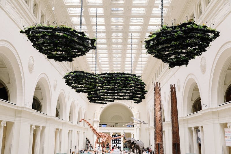 시카고 필드 박물관에서 즐기는 디노사우루스 산맥 투어