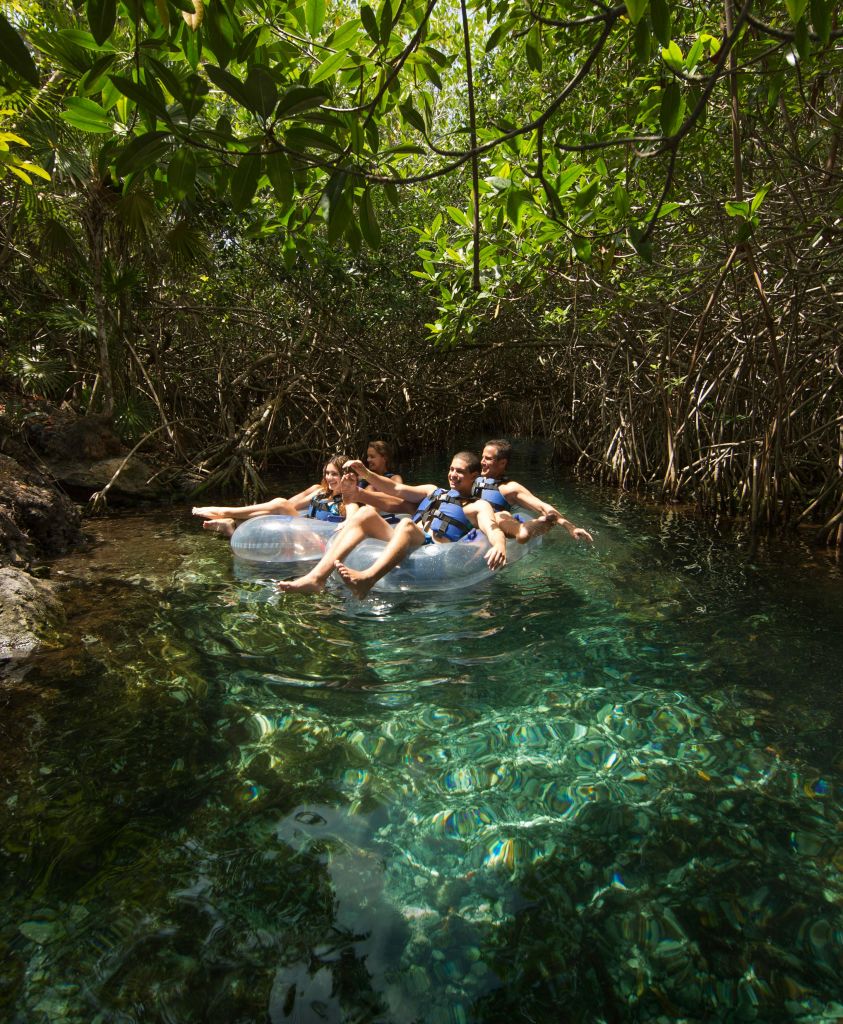 빽빽하고 잎이 무성한 맹그로브 나무로 둘러싸인 고요한 물줄기에서 맑은 내부 튜브 위에 네 사람이 떠 있습니다.