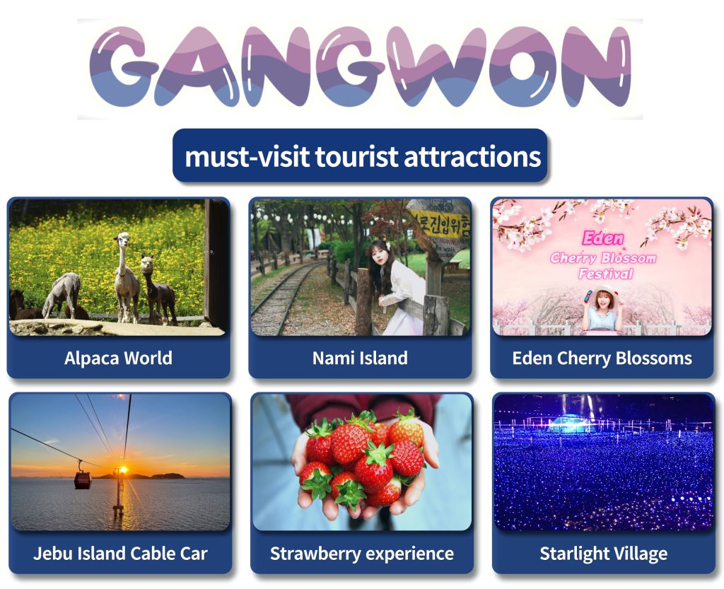 Seoul Car Rental with Driver to Gangwon-do (Alpaca World, Nami Island) 10 Hours