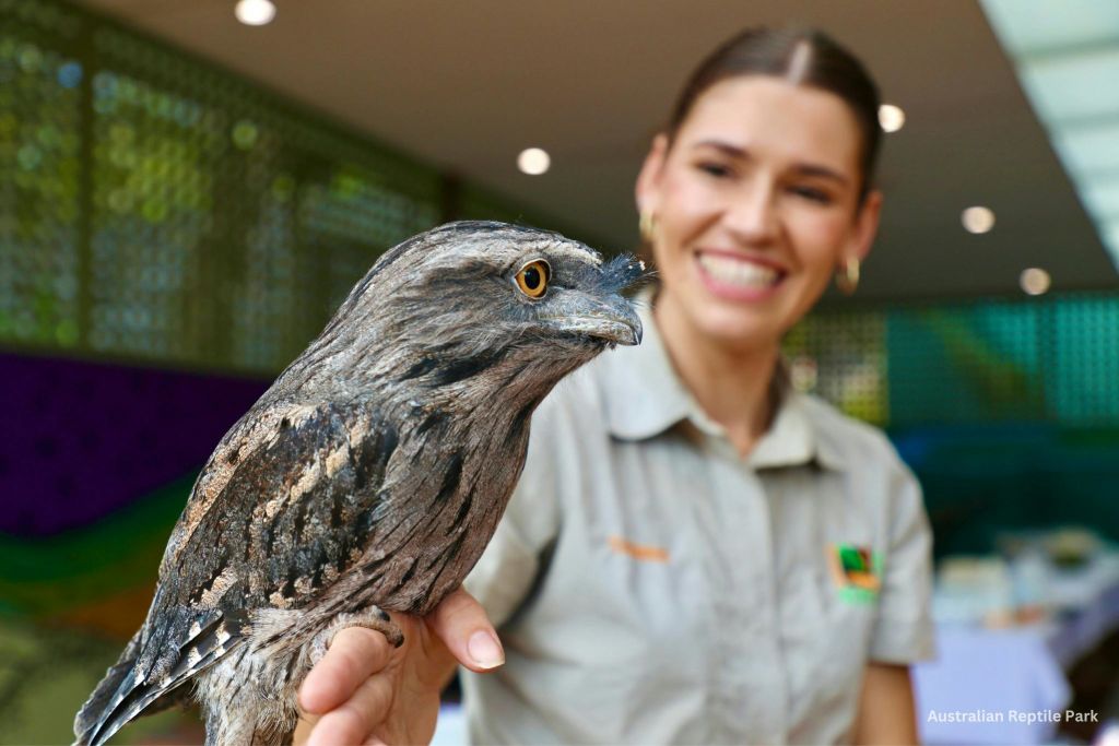 토니 프로그마우스를 들고 있는 동물원 사육사