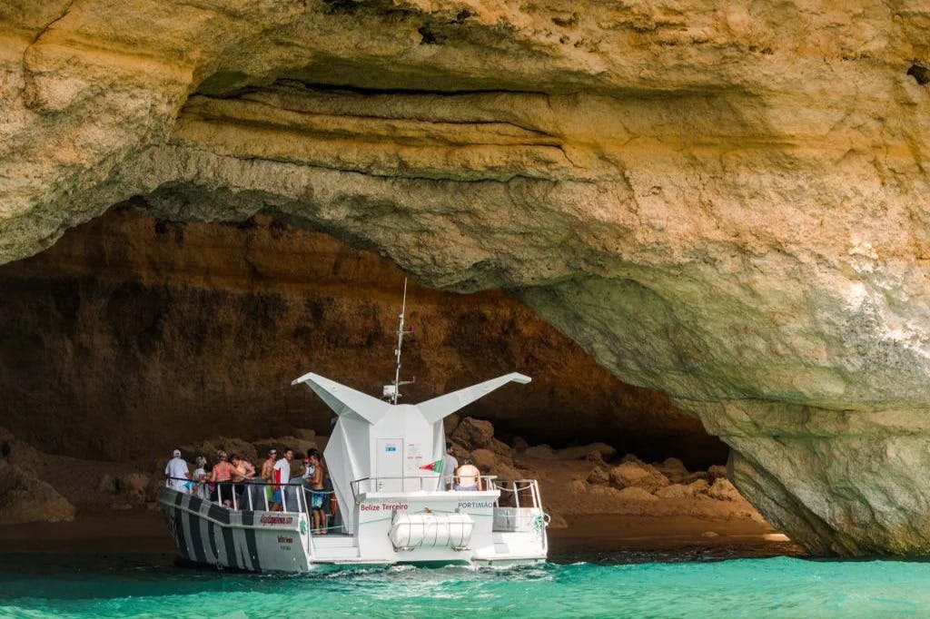 돌고래와 쌍동선