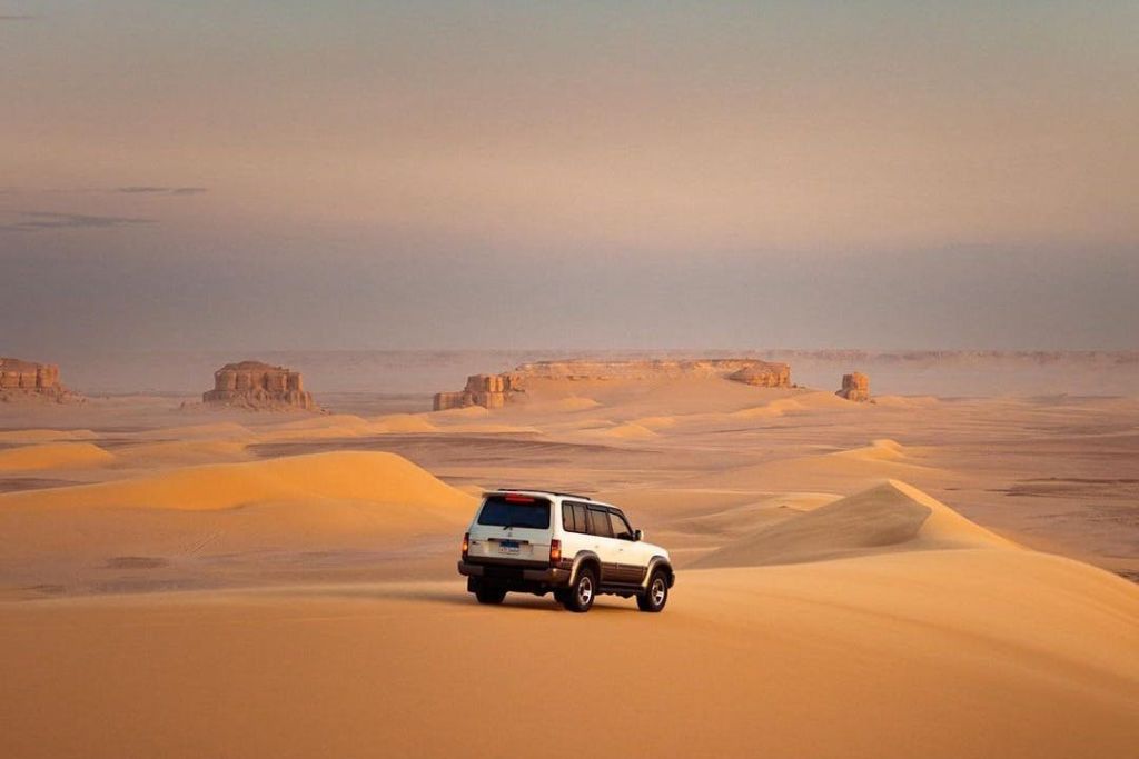 4 \* 4 사막 사파리
