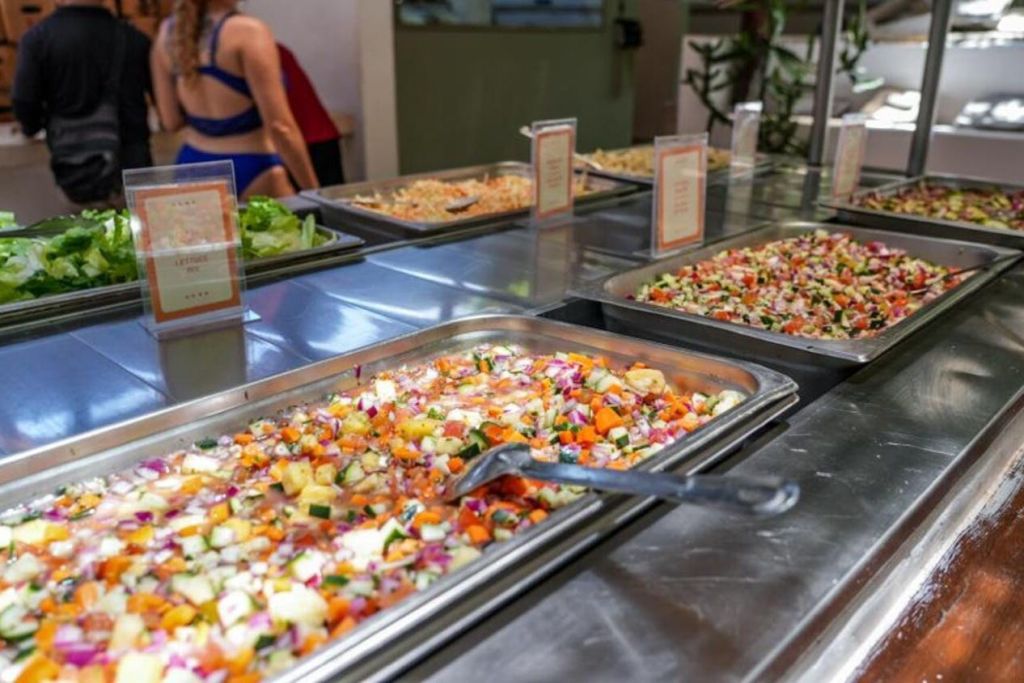 프리미엄 쌍동선