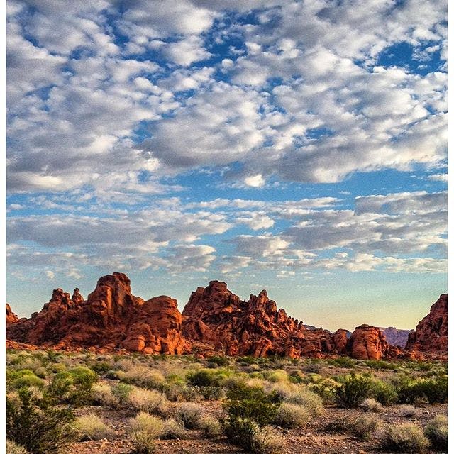 부분적으로 흐린 하늘 아래 희박한 초목이 있는 바위 사막 풍경, 배경에는 독특한 붉은 바위 지층이 있습니다.