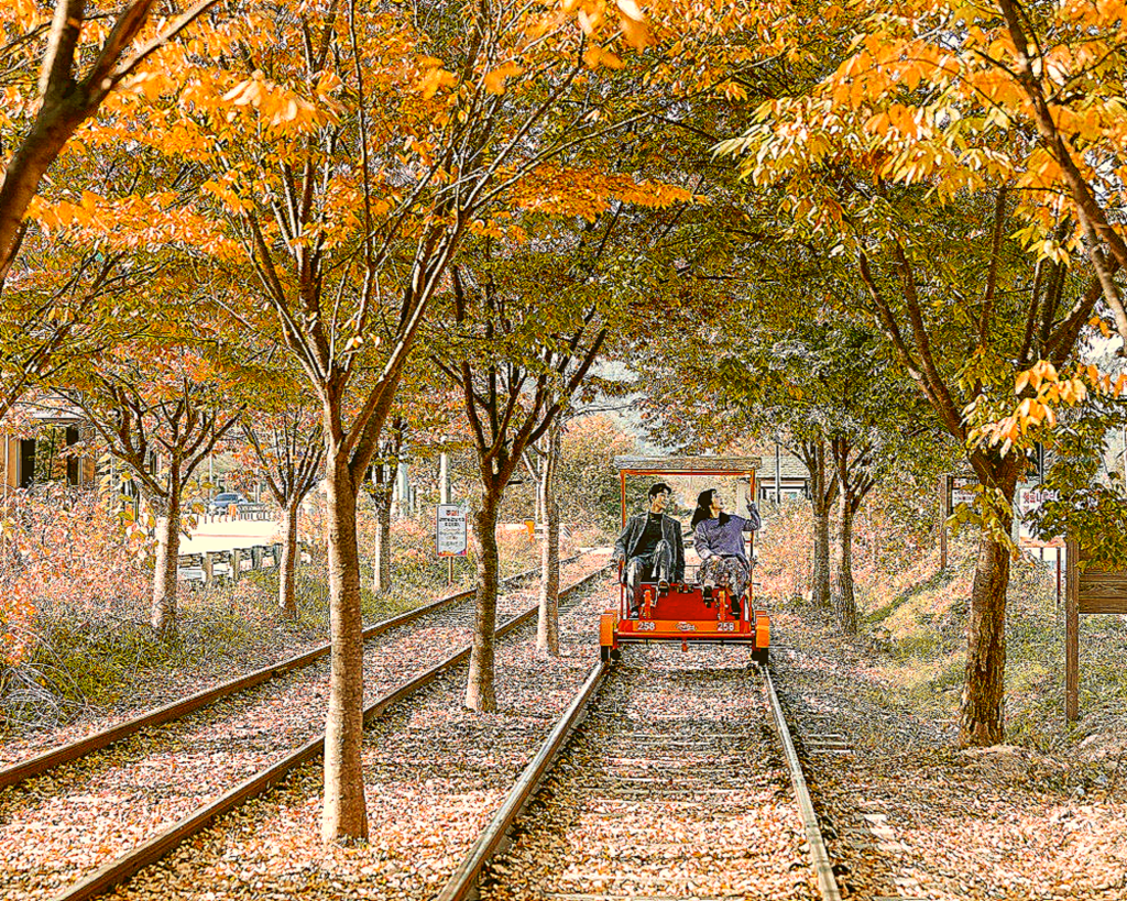 Nami Island · Gangchon Rail Bike · Garden of Morning Calm PrivateTour