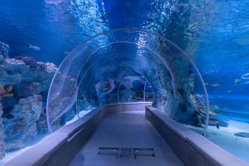 에마르 수족관 & 수중 동물원