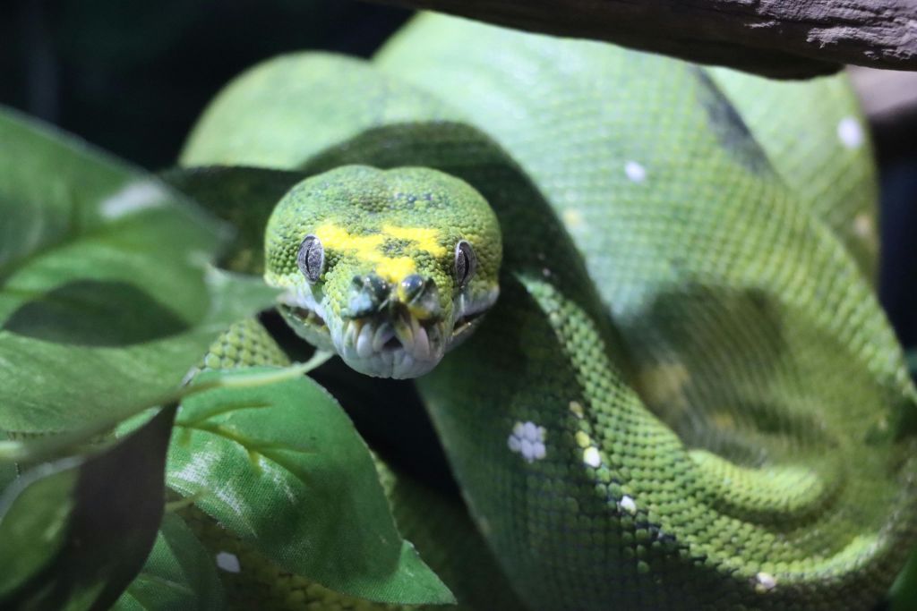 미친아쿠아리움과달라하라