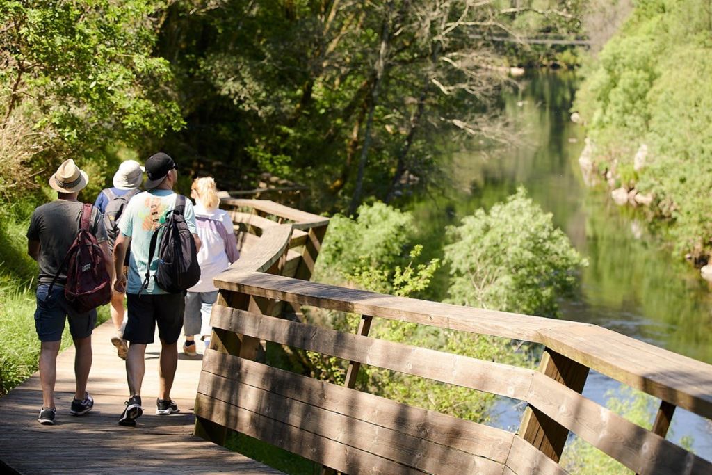 파이바 산책로 전망