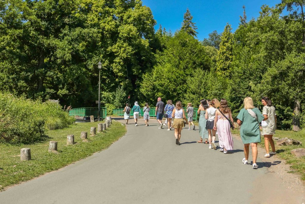 화창한 날 빽빽한 녹음과 나무로 둘러싸인 공원에서 포장된 길을 걷고 있는 한 무리의 사람들.