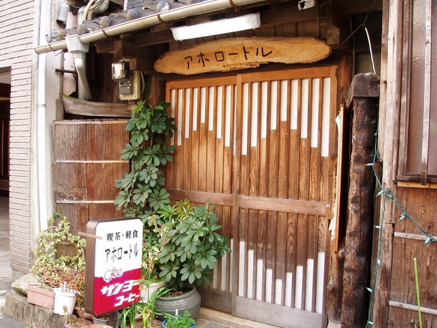 아홀로틀