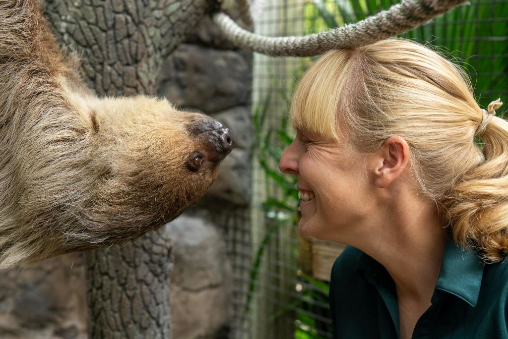 메쉬 울타리와 녹지를 배경으로 한 여성과 나무늘보가 서로 마주보고 있습니다.