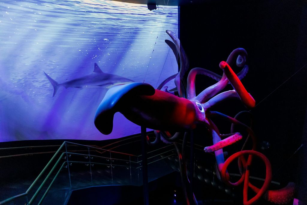 아틀란티스아쿠아리움