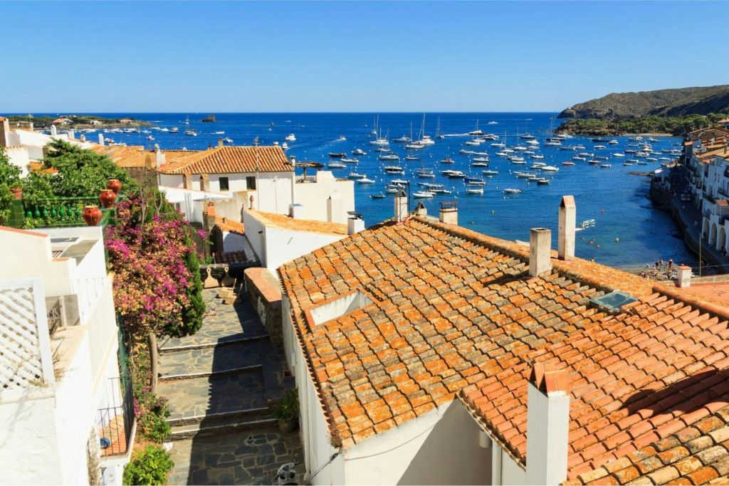 전망대에서 멋진 사진 촬영하기