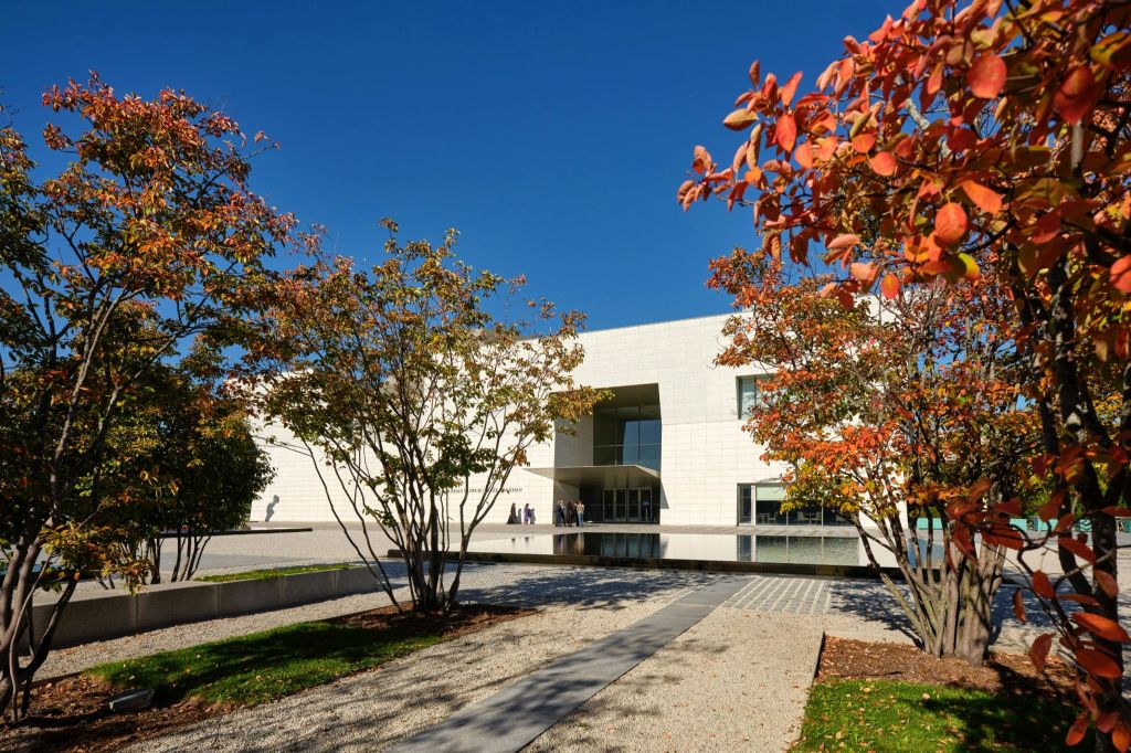 청명한 푸른 하늘 아래 전경에 포장된 길이 펼쳐진, 가을 낙엽이 우거진 나무 사이로 보이는 현대적인 흰색 건물.