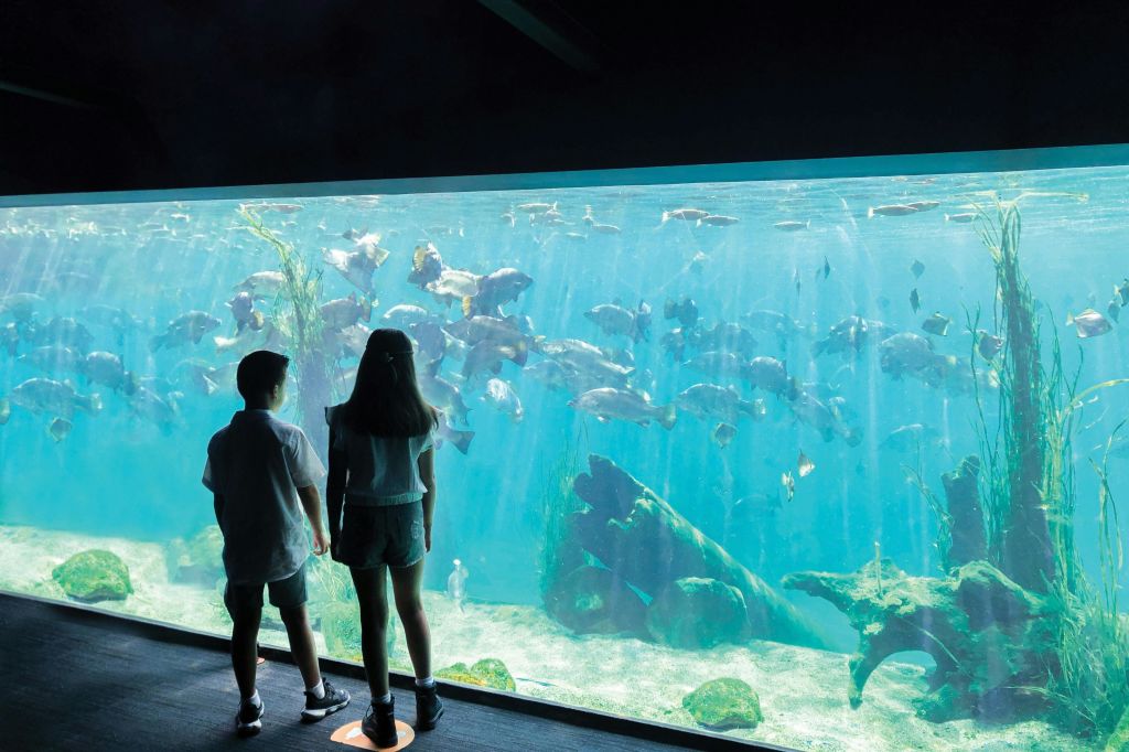 NSW에서 유일한 동물원과 수족관입니다.