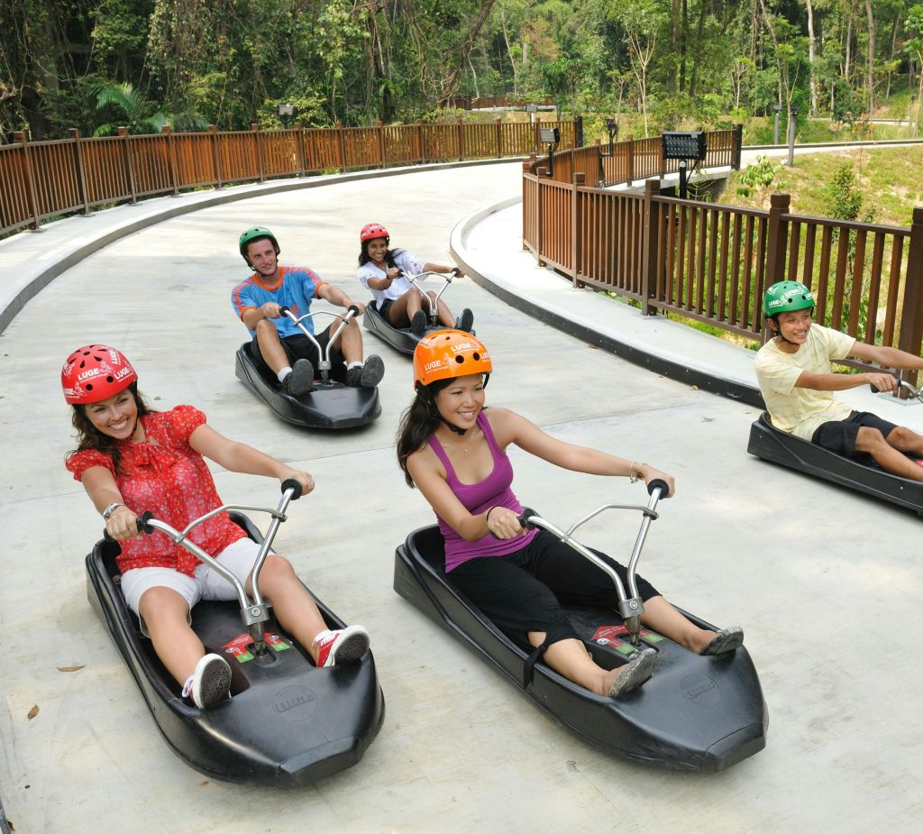 녹음으로 둘러싸인 포장 트랙에서 작고 검은 썰매 같은 고카트를 타고 헬멧을 쓴 네 명의 사람들.