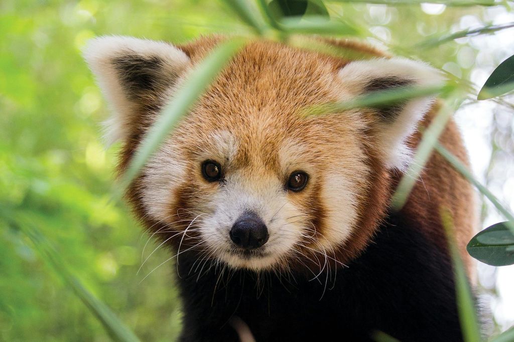 필라델피아 동물원