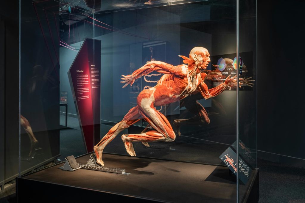 플라스티나트 "스프린터"