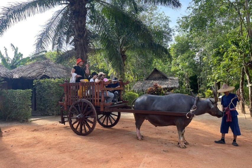 버팔로가 농업에서 수행하는 역할에 대해 배우면서 공급업체는 현지 문화를 맛볼 수 있습니다.
