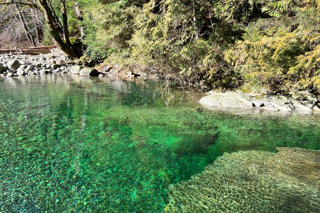 린크리크의 아름다운 바다