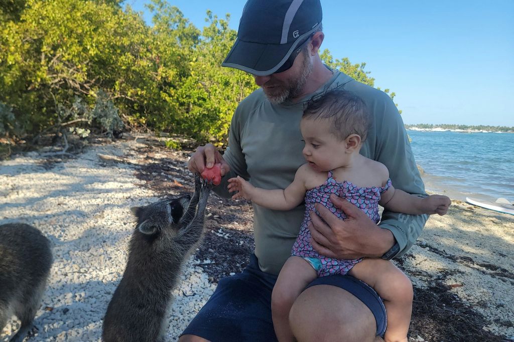 아기가 있는 너구리