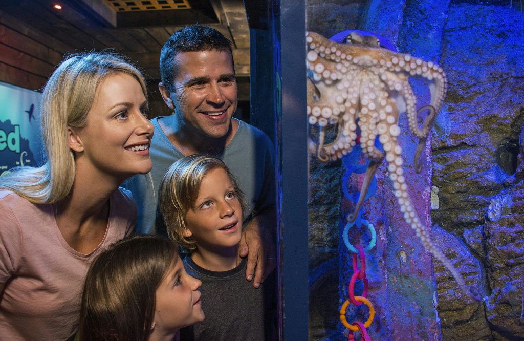 4인 가족이 어머니, 아버지, 두 자녀와 함께 수족관 전시관에서 문어를 관찰하며 미소 짓고 있습니다.
