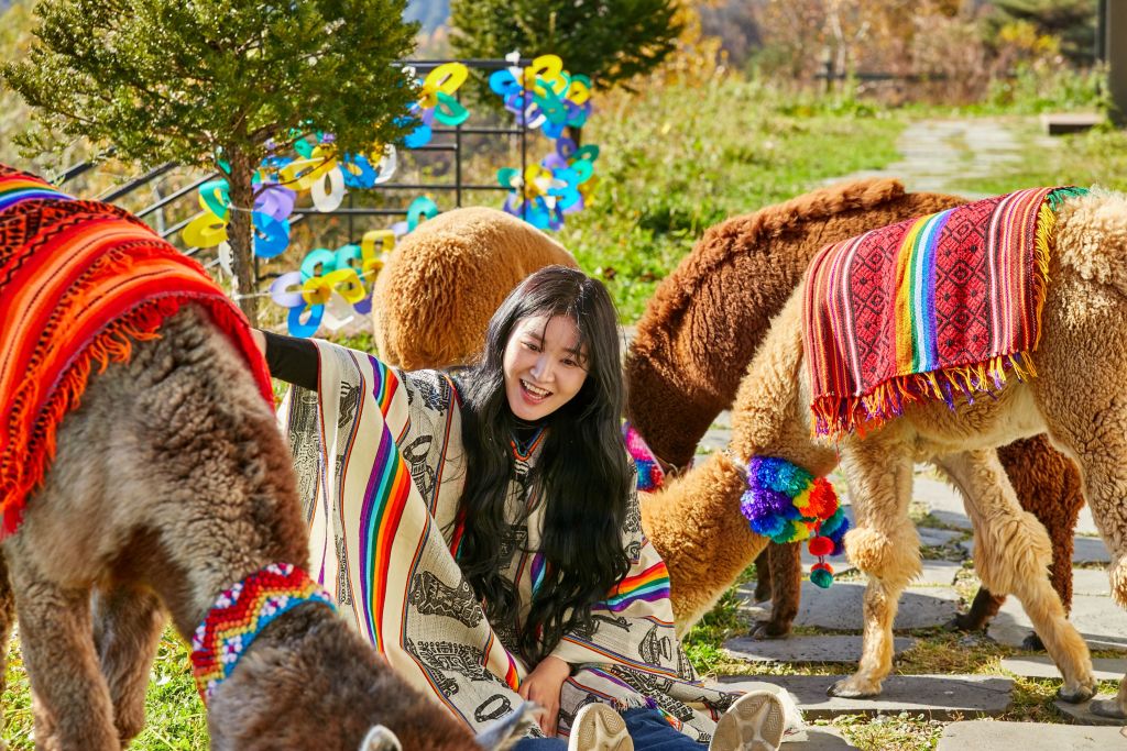 [Best Seller] Nami Island + Alpaca World + Gangchon Railbike Day Tour from Seoul