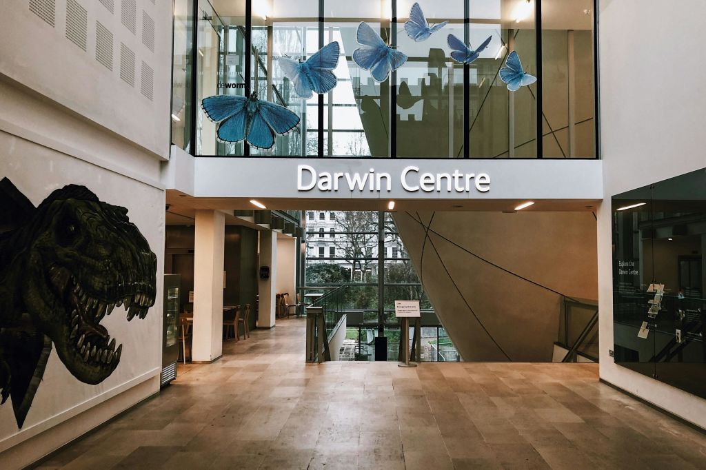 자연사 박물관의 다윈 센터