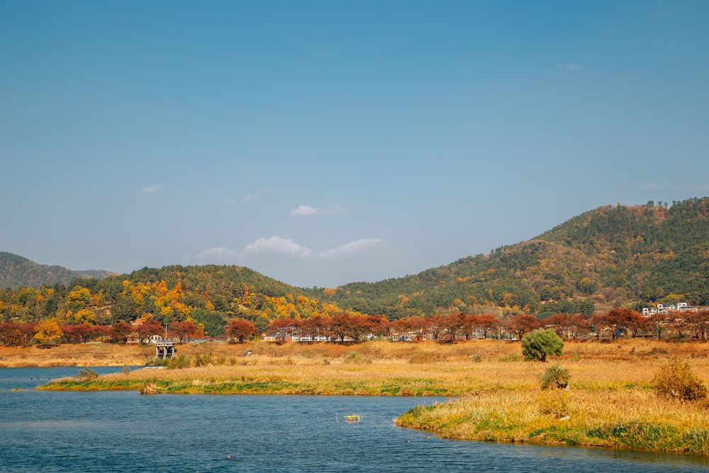 밀양강