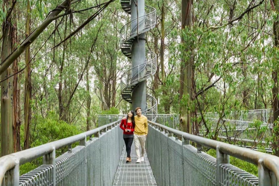 나선형 계단 구조를 배경으로 숲 속 금속 다리를 걷고 있는 커플.